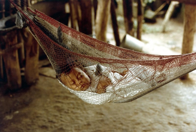 Protective Netting