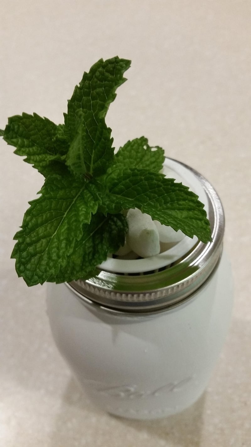 Canning jars